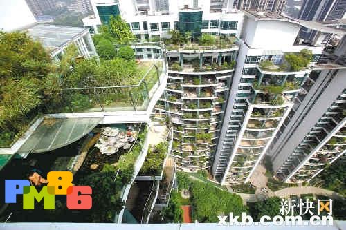 珠海有个“绿小区” 700业主家家种花草